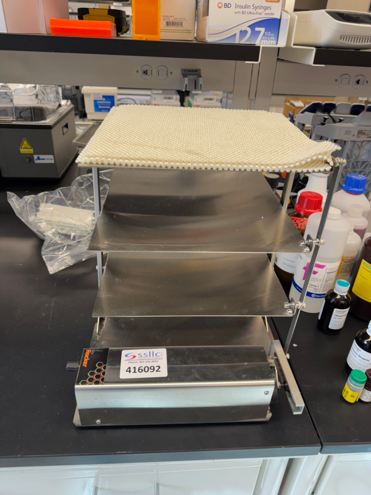 Image of IBI Hi/Lo Rocker